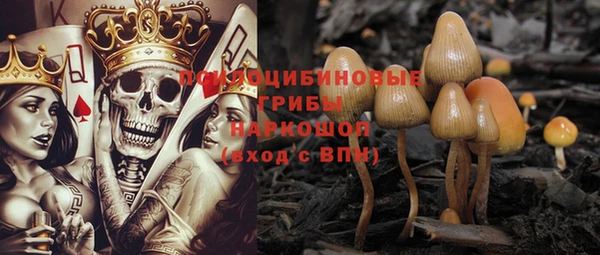 амф Баксан