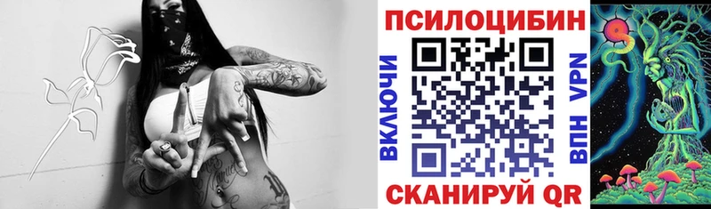 Псилоцибиновые грибы GOLDEN TEACHER  Новый Уренгой 