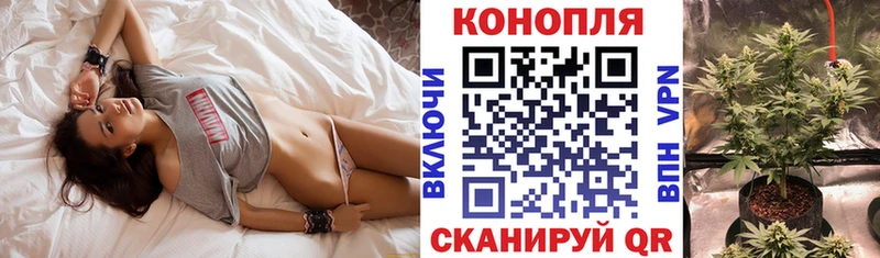 купить  цена  Новый Уренгой  Шишки марихуана THC 21% 